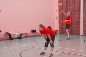 Abteilung Volleyball